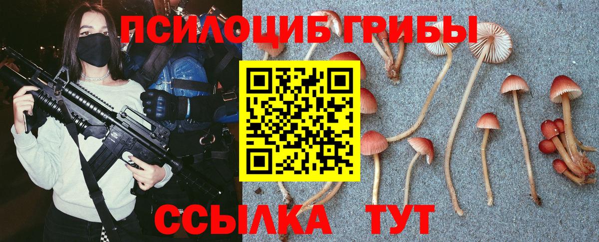 Дедовск  Галлюциногенные грибы MAGIC MUSHROOMS  Вход с VPN  Галлюциногенные грибы прущие грибы 